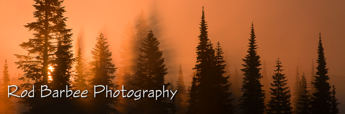Rod Barbee's Backlight 2/3/4/5 test site