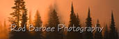 Rod Barbee's Backlight 2/3/4/5 test site