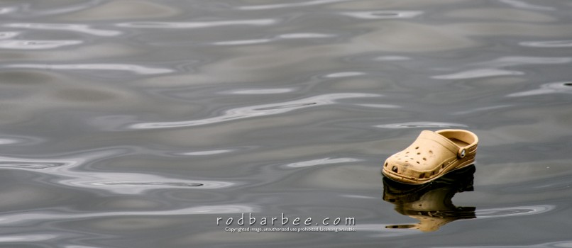 test bl watermarking from master images