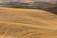 palouse fall galleria