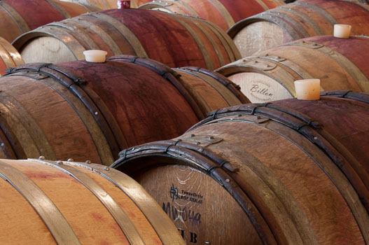 Willamette Valley Wineries